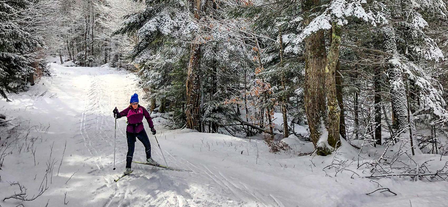 Person cross-country skiing on a snow-covered Nordic trail through a forest near Priest Lake, Idaho, during winter.